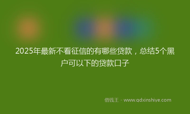 2025年最新不看征信的有哪些贷款，总结5个黑户可以下的贷款口子