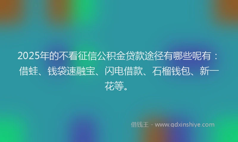 2025年的不看征信公积金贷款途径有哪些呢有：借蛙、钱袋速融宝、闪电借款、石榴钱包、新一花等。