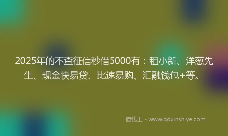 2025年的不查征信秒借5000有：租小新、洋葱先生、现金快易贷、比速易购、汇融钱包+等。