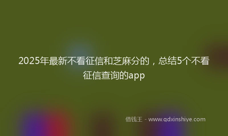 2025年最新不看征信和芝麻分的，总结5个不看征信查询的app