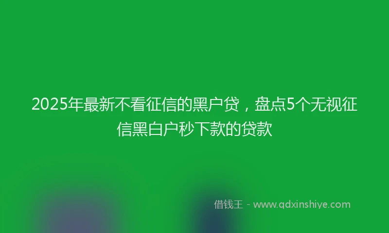 2025年最新不看征信的黑户贷，盘点5个无视征信黑白户秒下款的贷款
