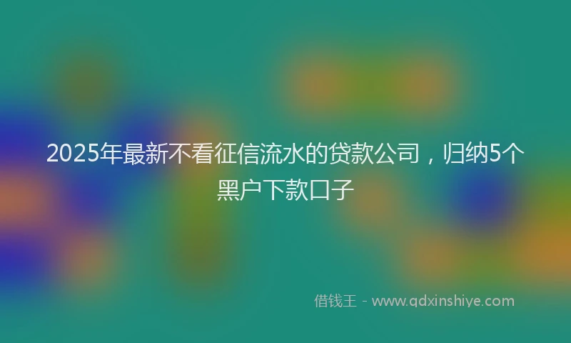 2025年最新不看征信流水的贷款公司，归纳5个黑户下款口子