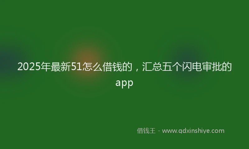 2025年最新51怎么借钱的，汇总五个闪电审批的app