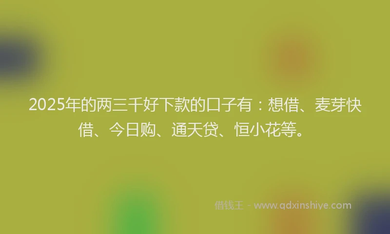 2025年的两三千好下款的口子有：想借、麦芽快借、今日购、通天贷、恒小花等。