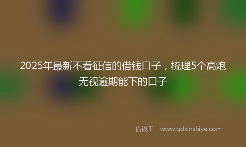 2025年最新不看征信的借钱口子，梳理5个高炮无视逾期能下的口子