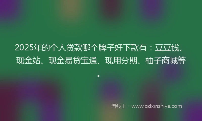 2025年的个人贷款哪个牌子好下款有：豆豆钱、现金站、现金易贷宝通、现用分期、柚子商城等。