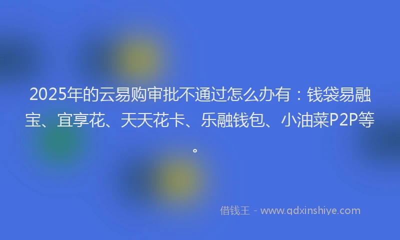 2025年的云易购审批不通过怎么办有：钱袋易融宝、宜享花、天天花卡、乐融钱包、小油菜P2P等。