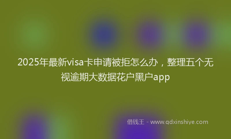 2025年最新visa卡申请被拒怎么办，整理五个无视逾期大数据花户黑户app