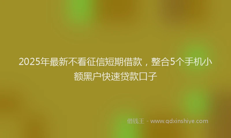 2025年最新不看征信短期借款，整合5个手机小额黑户快速贷款口子