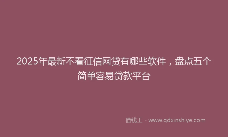 2025年最新不看征信网贷有哪些软件，盘点五个简单容易贷款平台