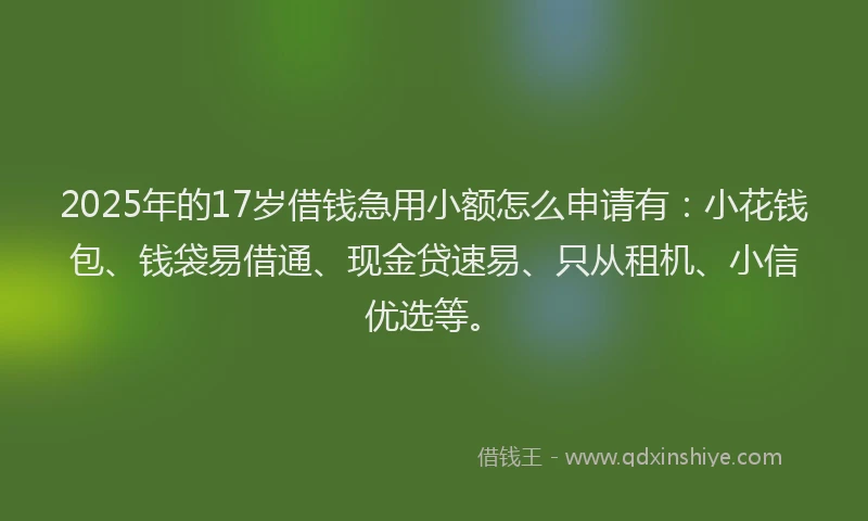2025年的17岁借钱急用小额怎么申请有：小花钱包、钱袋易借通、现金贷速易、只从租机、小信优选等。