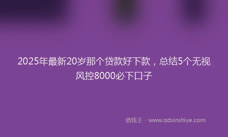 2025年最新20岁那个贷款好下款，总结5个无视风控8000必下口子