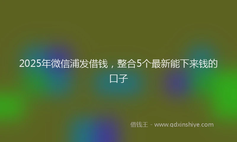 2025年微信浦发借钱，整合5个最新能下来钱的口子