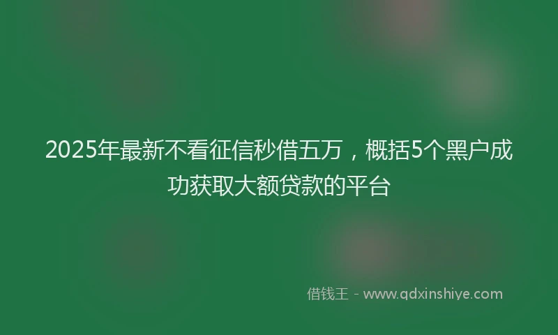 2025年最新不看征信秒借五万，概括5个黑户成功获取大额贷款的平台
