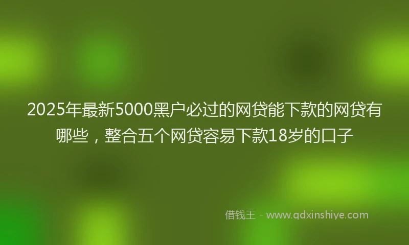 2025年最新5000黑户必过的网贷能下款的网贷有哪些，整合五个网贷容易下款18岁的口子