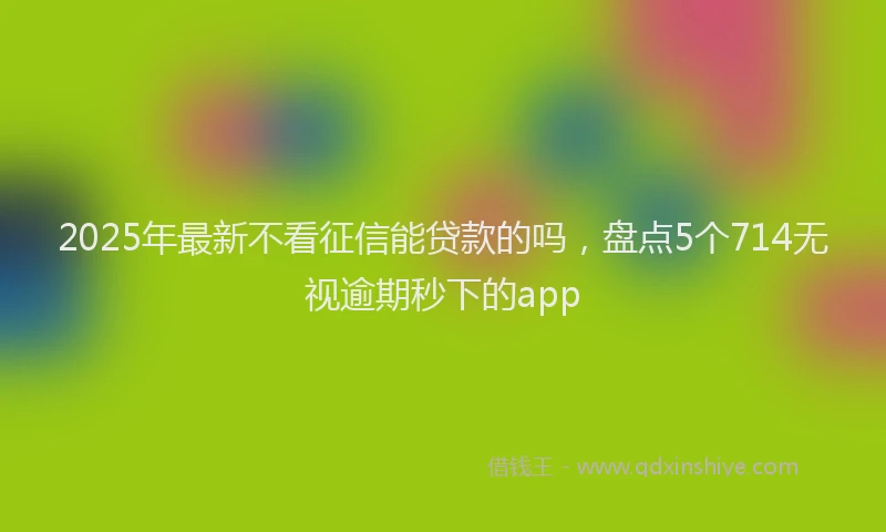 2025年最新不看征信能贷款的吗，盘点5个714无视逾期秒下的app