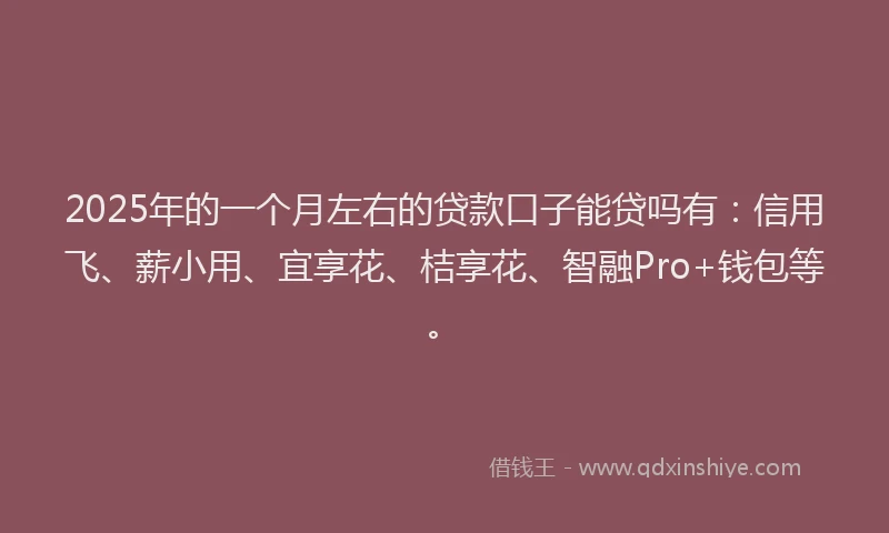 2025年的一个月左右的贷款口子能贷吗有：信用飞、薪小用、宜享花、桔享花、智融Pro+钱包等。