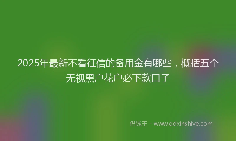2025年最新不看征信的备用金有哪些，概括五个无视黑户花户必下款口子