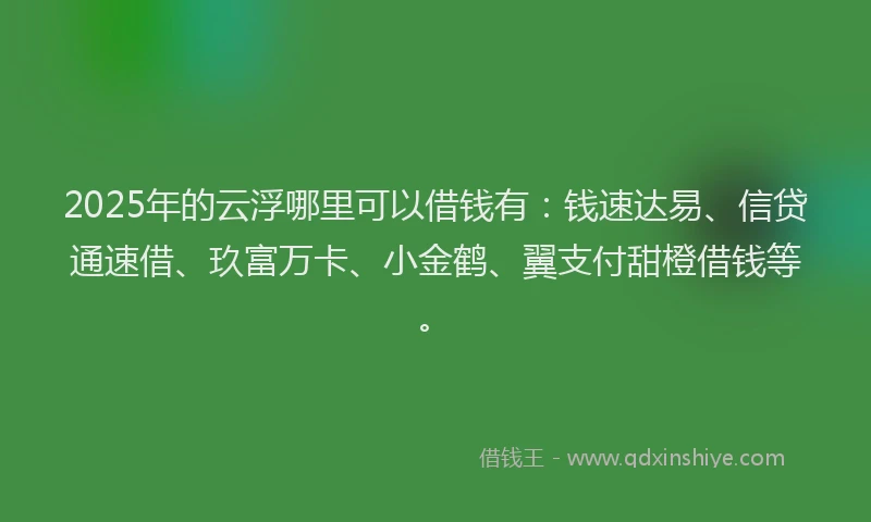 2025年的云浮哪里可以借钱有：钱速达易、信贷通速借、玖富万卡、小金鹤、翼支付甜橙借钱等。