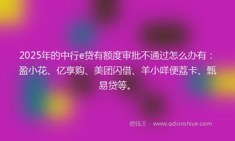 2025年的中行e贷有额度审批不通过怎么办有：盈小花、亿享购、美团闪借、羊小咩便荔卡、甄易贷等。
