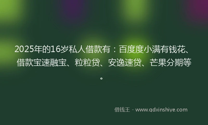 2025年的16岁私人借款有：百度度小满有钱花、借款宝速融宝、粒粒贷、安逸速贷、芒果分期等。