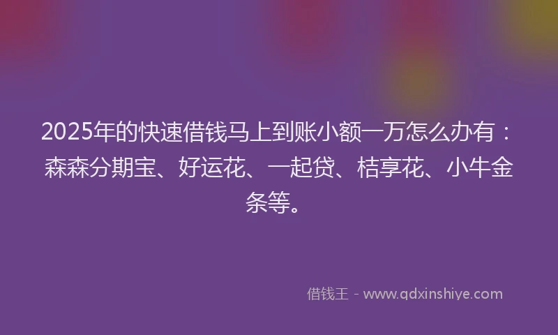 2025年的快速借钱马上到账小额一万怎么办有：森森分期宝、好运花、一起贷、桔享花、小牛金条等。