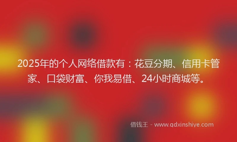 2025年的个人网络借款有：花豆分期、信用卡管家、口袋财富、你我易借、24小时商城等。