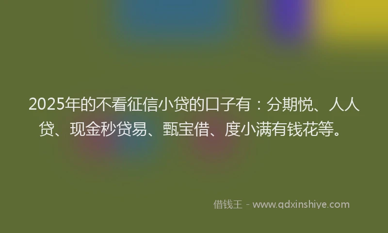 2025年的不看征信小贷的口子有：分期悦、人人贷、现金秒贷易、甄宝借、度小满有钱花等。