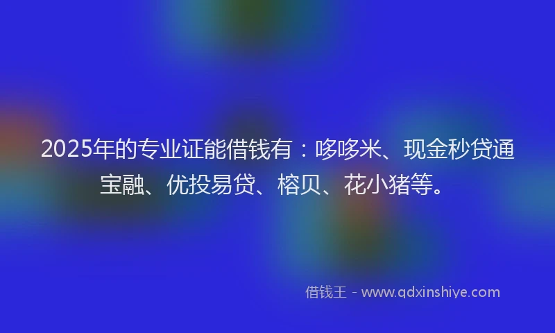 2025年的专业证能借钱有：哆哆米、现金秒贷通宝融、优投易贷、榕贝、花小猪等。