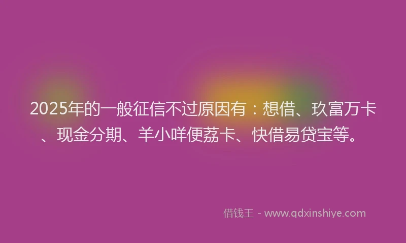 2025年的一般征信不过原因有：想借、玖富万卡、现金分期、羊小咩便荔卡、快借易贷宝等。