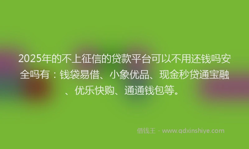 2025年的不上征信的贷款平台可以不用还钱吗安全吗有：钱袋易借、小象优品、现金秒贷通宝融、优乐快购、通通钱包等。