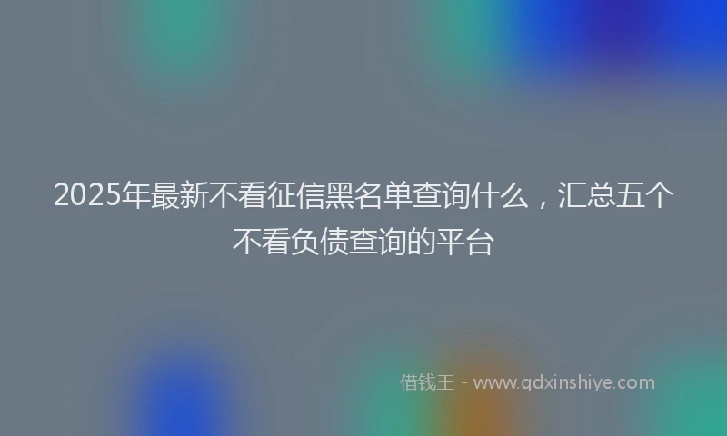 2025年最新不看征信黑名单查询什么，汇总五个不看负债查询的平台