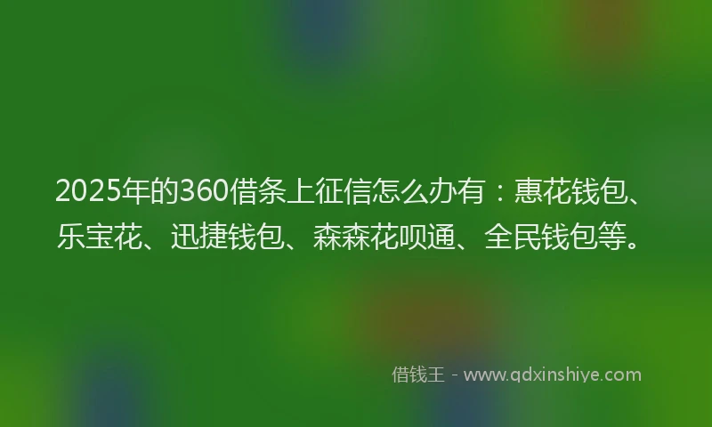 2025年的360借条上征信怎么办有：惠花钱包、乐宝花、迅捷钱包、森森花呗通、全民钱包等。