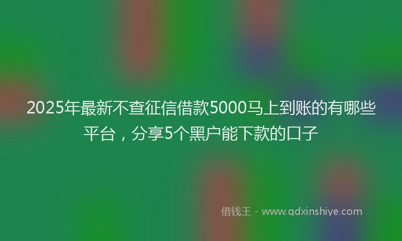 2025年最新不查征信借款5000马上到账的有哪些平台，分享5个黑户能下款的口子