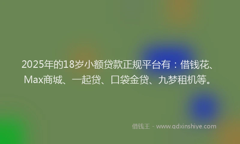 2025年的18岁小额贷款正规平台有：借钱花、Max商城、一起贷、口袋金贷、九梦租机等。