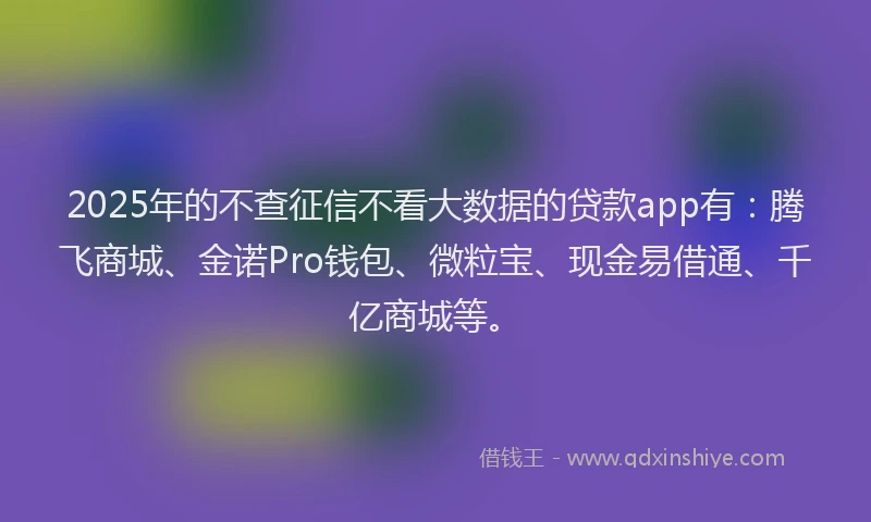 2025年的不查征信不看大数据的贷款app有：腾飞商城、金诺Pro钱包、微粒宝、现金易借通、千亿商城等。