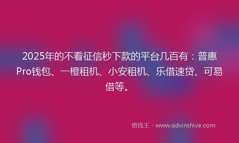 2025年的不看征信秒下款的平台几百有：普惠Pro钱包、一橙租机、小安租机、乐借速贷、可易借等。