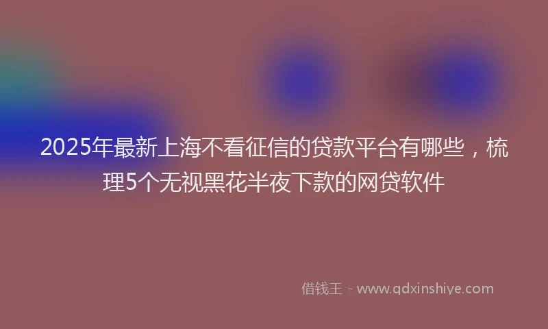 2025年最新上海不看征信的贷款平台有哪些，梳理5个无视黑花半夜下款的网贷软件