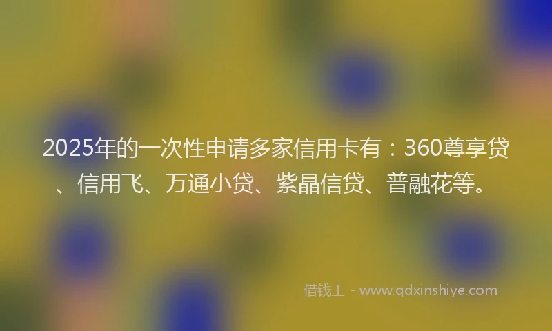 2025年的一次性申请多家信用卡有：360尊享贷、信用飞、万通小贷、紫晶信贷、普融花等。