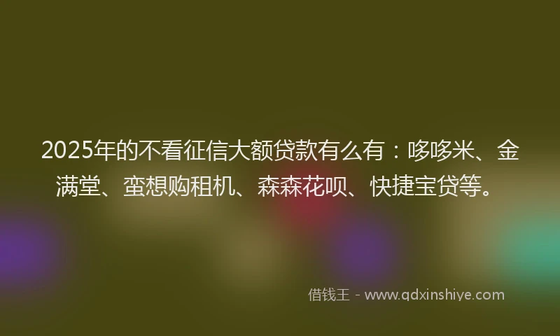 2025年的不看征信大额贷款有么有：哆哆米、金满堂、蛮想购租机、森森花呗、快捷宝贷等。