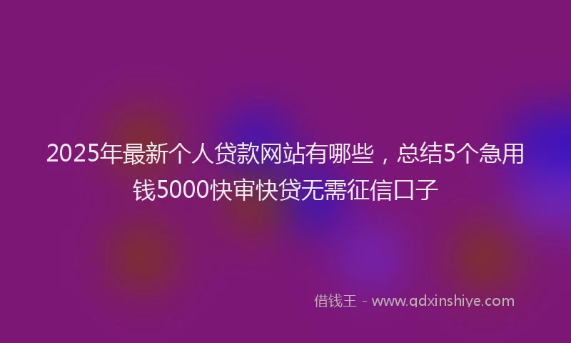 2025年最新个人贷款网站有哪些，总结5个急用钱5000快审快贷无需征信口子
