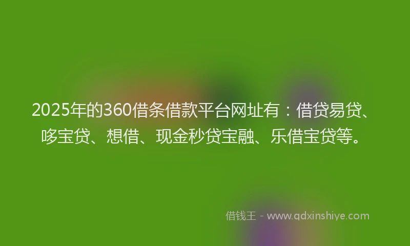 2025年的360借条借款平台网址有：借贷易贷、哆宝贷、想借、现金秒贷宝融、乐借宝贷等。