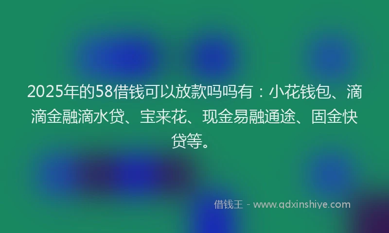 2025年的58借钱可以放款吗吗有：小花钱包、滴滴金融滴水贷、宝来花、现金易融通途、固金快贷等。