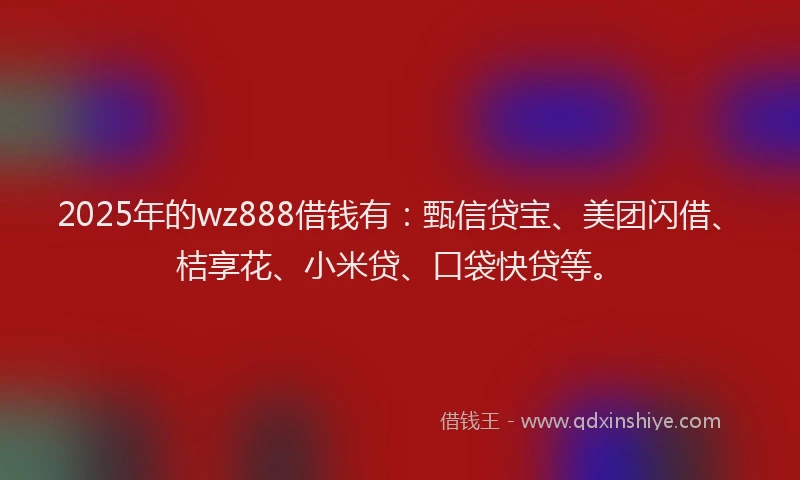 2025年的wz888借钱有：甄信贷宝、美团闪借、桔享花、小米贷、口袋快贷等。
