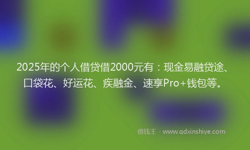 2025年的个人借贷借2000元有：现金易融贷途、口袋花、好运花、疾融金、速享Pro+钱包等。