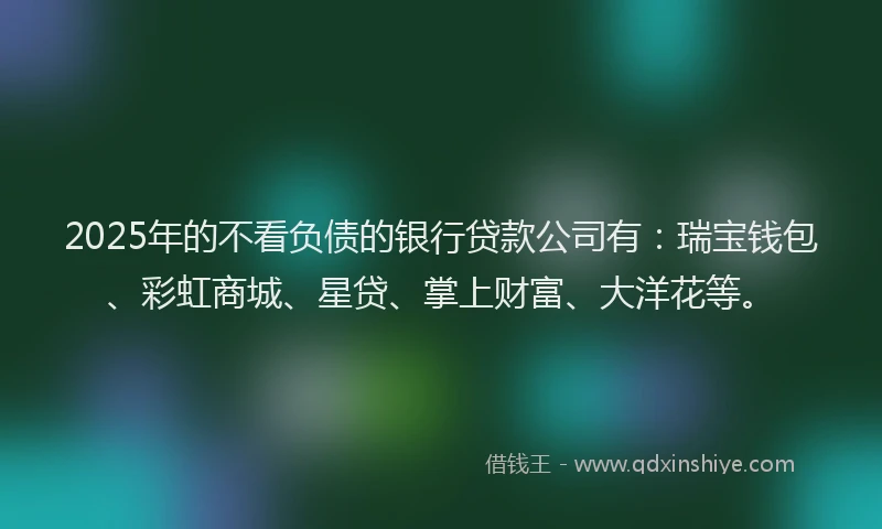 2025年的不看负债的银行贷款公司有：瑞宝钱包、彩虹商城、星贷、掌上财富、大洋花等。