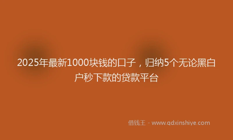 2025年最新1000块钱的口子，归纳5个无论黑白户秒下款的贷款平台