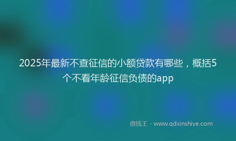 2025年最新不查征信的小额贷款有哪些，概括5个不看年龄征信负债的app