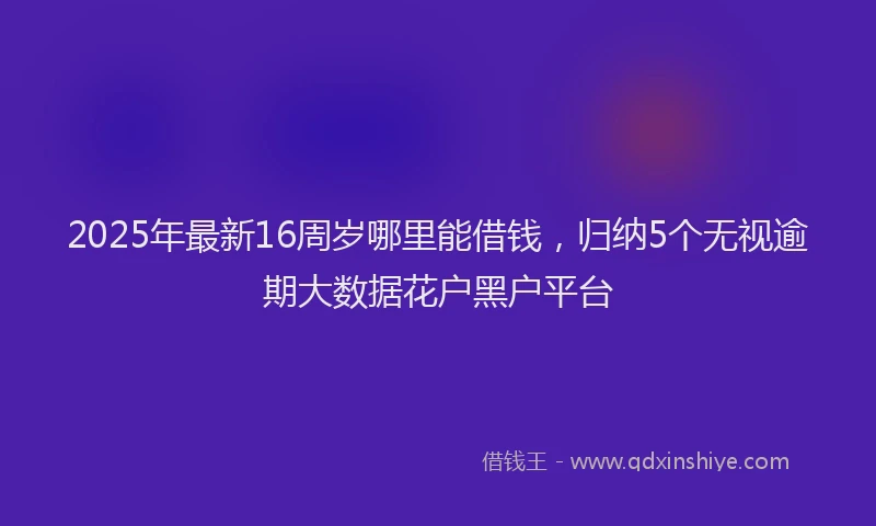 2025年最新16周岁哪里能借钱，归纳5个无视逾期大数据花户黑户平台