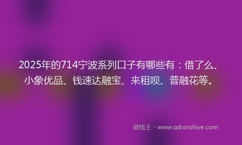2025年的714宁波系列口子有哪些有：借了么、小象优品、钱速达融宝、来租呗、普融花等。